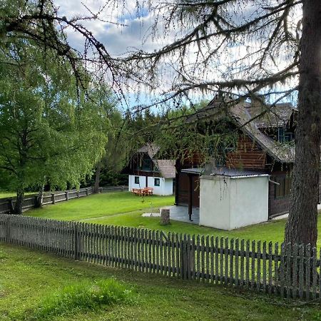 Ferienhaus Waldtraum Sankt Veit an der Glan Ngoại thất bức ảnh