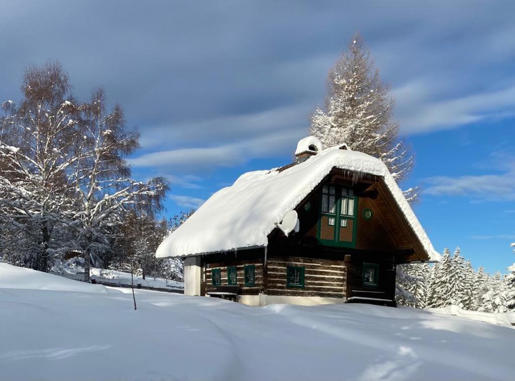 Ferienhaus Waldtraum Sankt Veit an der Glan Ngoại thất bức ảnh