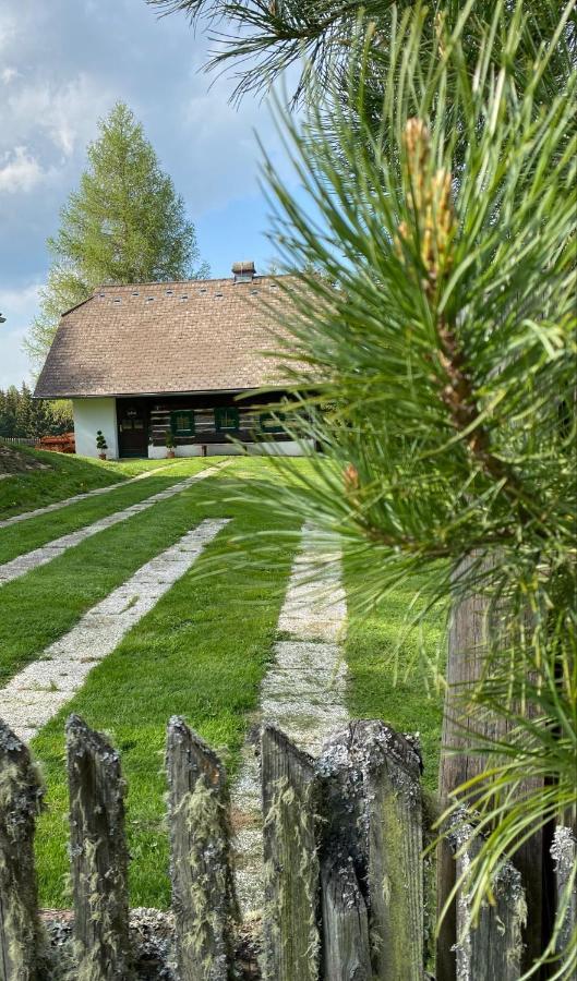 Ferienhaus Waldtraum Sankt Veit an der Glan Ngoại thất bức ảnh